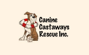 canine-castaways