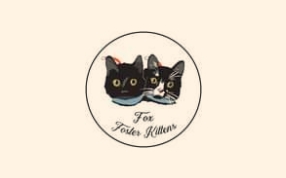 Fox Foster Kittens