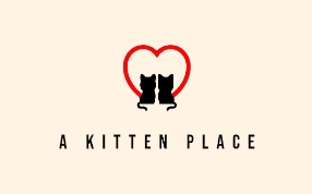 A Kitten Place