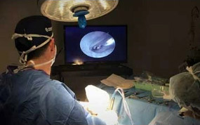 Endoscopic Procedures In University Park FL