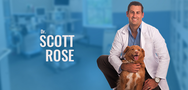 VSC Sarasota Welcomes Dr. Scott Rose!