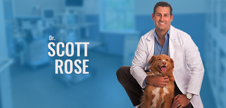 About Veterinary Surgery Center of Sarasota Leaders in Advanced