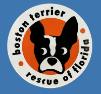 Boston Terrier Rescue of Florida