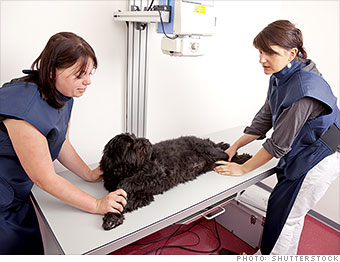 Veterinary Technician Course - 30 March, 2023